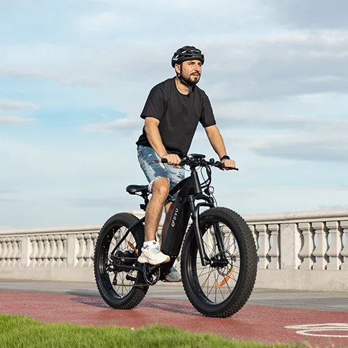 E-bike met dikke banden