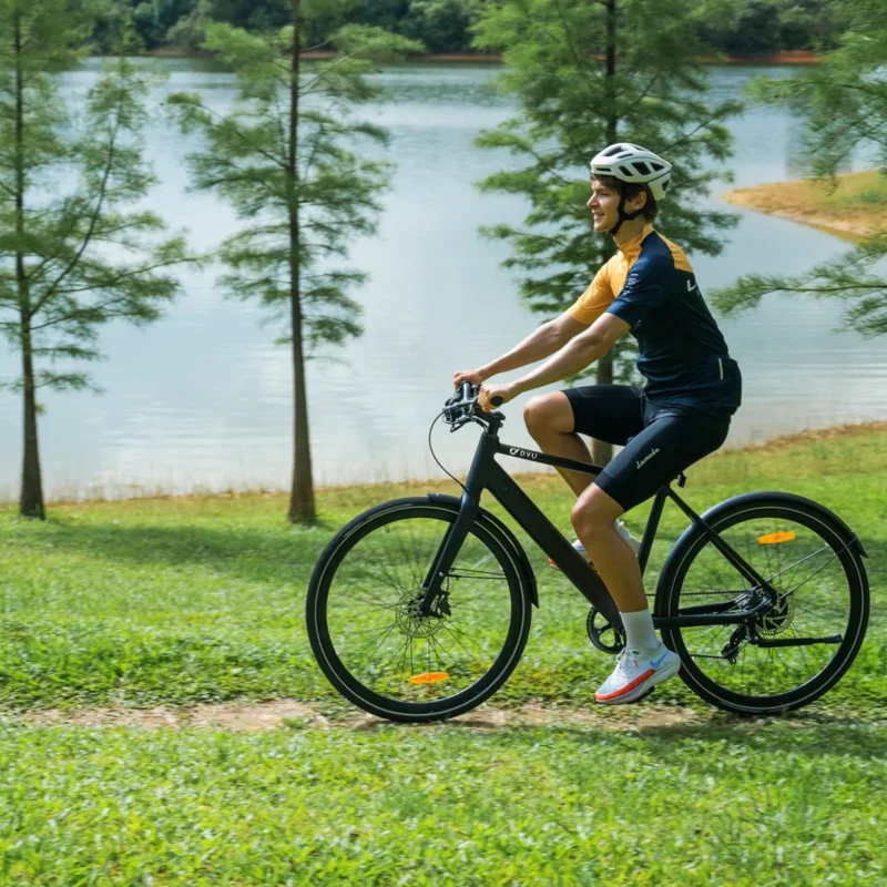 DYU Stroll 1 700C Elektrische Stadsfiets 100km Actieradius 34 DYU Stroll 1 700C Elektrische Stadsfiets 100km Actieradius 15