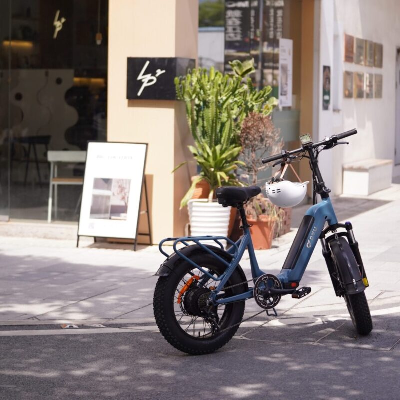 DYU FF500 20 Inch Dikke Banden Elektrische Fiets 80km Offroad 8