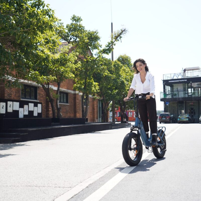 DYU FF500 20 Inch Dikke Banden Elektrische Fiets 80km Offroad 9