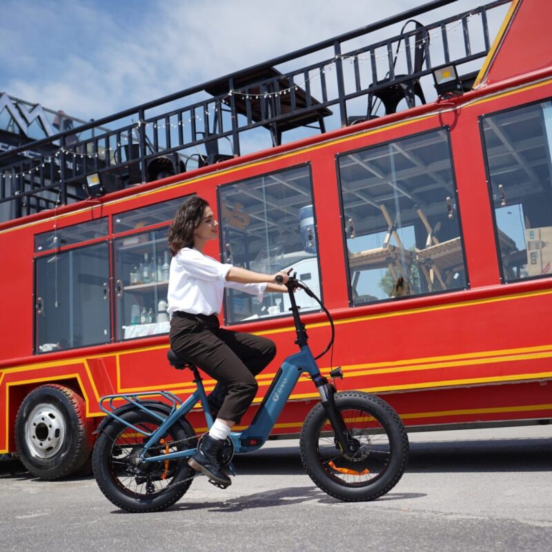 DYU FF500 20 Inch Dikke Banden Elektrische Fiets 80km Offroad 11