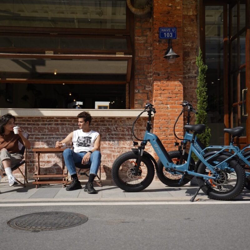 DYU FF500 20 Inch Dikke Banden Elektrische Fiets 80km Offroad 12