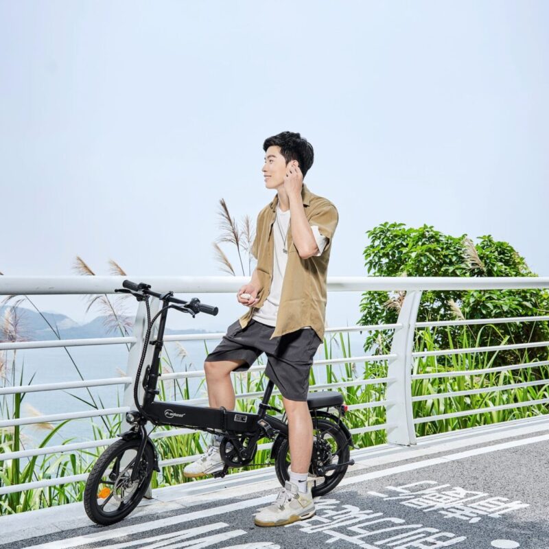 DYU A1F Pro 16 Inch Opvouwbare Elektrische Fiets 40km Opslag 11