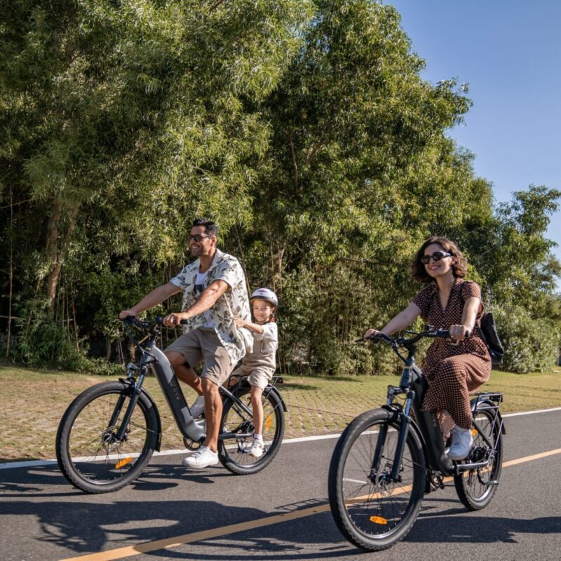 DYU C1 26 Inch Elektrische Stadsfiets 65km Krachtige Motor 9