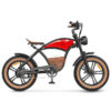 Hidoes B10 Elektrische Fatbike 65km 1000W Offroad