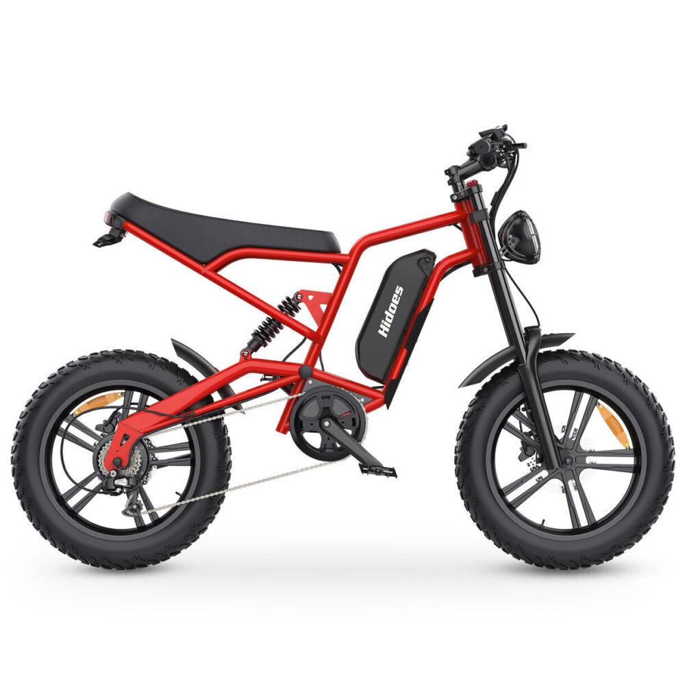 Hidoes B6 Elektrische Fiets