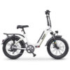 Hidoes BF1 Opvouwbare Elektrische Fiets 750W Lage Instap