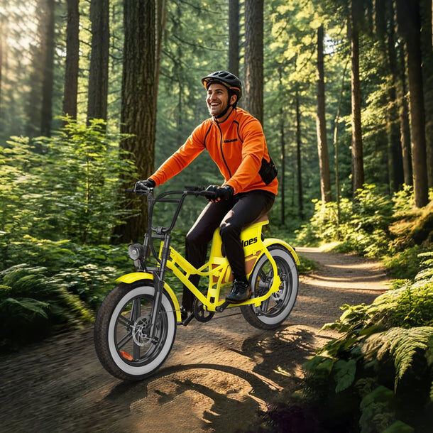 Hidoes C8 Elektrische Fatbike 80km 700W Step-Thru 3 Hidoes C8 Elektrische Fatbike 80km 700W Step-Thru - Afbeelding 3