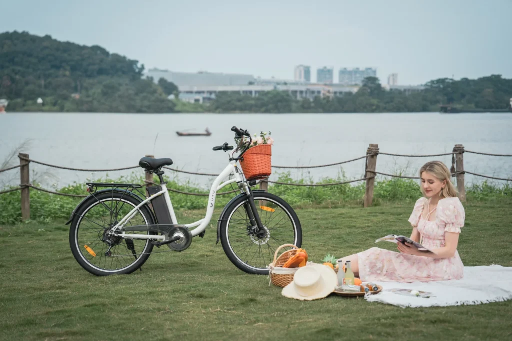 Opbouw voor E-Bike Cargo: Rekken, Mandjes en Zware Upgrades Installeren 23