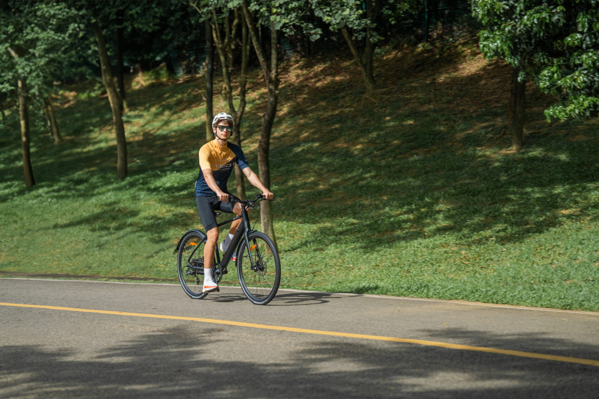 Sheffield’s Urban Forest Plan: Hoe E-Bikes de Zaadjes Planten voor een Groener Stad 3 Sheffield’s Urban Forest Plan: Hoe E-Bikes de Zaadjes Planten voor een Groener Stad 3