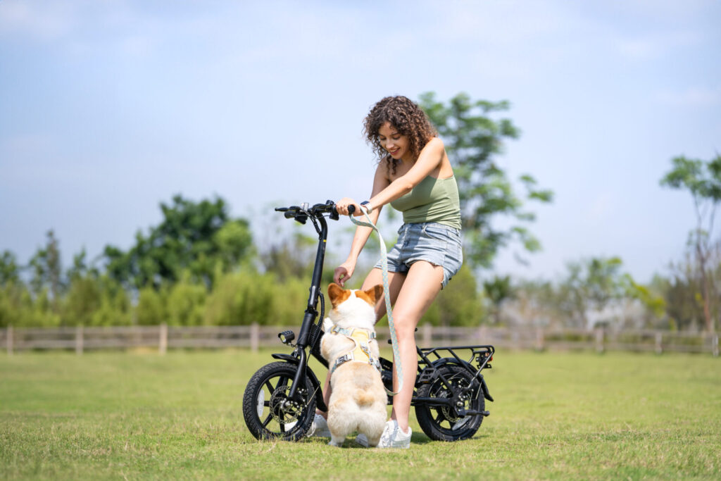 De Eerste E-Bike Commercial: Hoe Advertenties uit de Jaren 70 “Elektrische Paarden” Probeerden te Verkopen 12