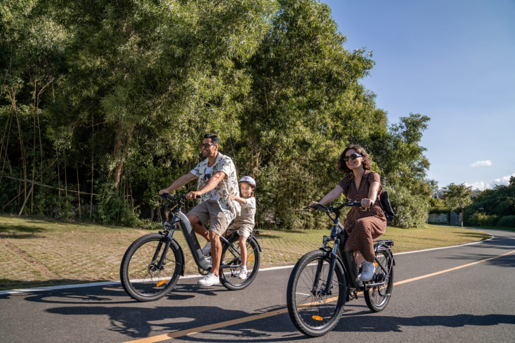 DYU C1 of FIIDO Titan: Beste Waarde E-Bike Vergelijking 1 DYU C1 of FIIDO Titan: Beste Waarde E-Bike Vergelijking 1